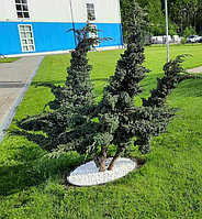 Мраморная, гранитная крошка (фр. 7-12, 10-20, 20-40, 40-70 мм.) Мрамор, щебень, гранит Мраморная, гранитная крошка (фр. 7-12, 10-20, 20-40, 40-70 мм.)