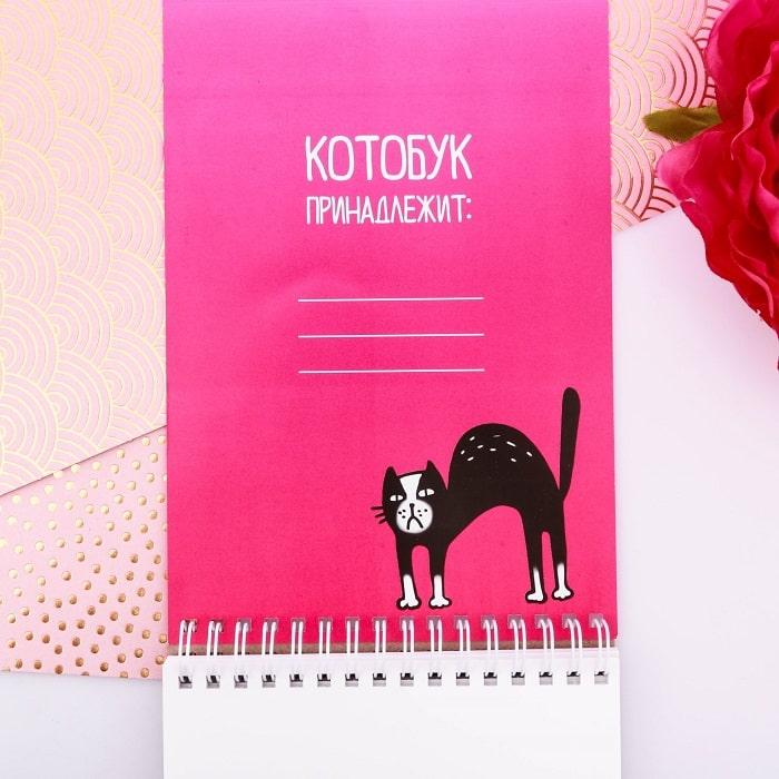 Блокнот для рисования «Котобук» А5 - фото 3 - id-p154350520