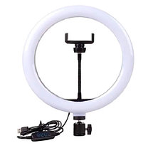 Кольцевая лампа LED Filling Lamp 33 см + ШТАТИВ 2,1 метра, фото 3