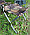 Стол-чемодан складной с карманом-органайзером и 4 стула НИКА арт. ССТ-К3 (120х60х610) светло-серый, фото 4