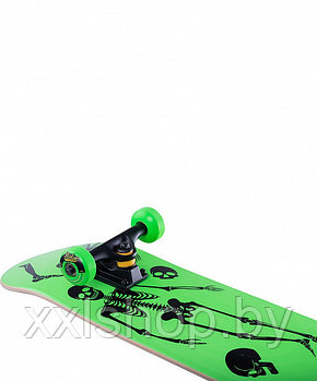 Скейтборд Ridex Bones 31.6″X8″ green, фото 2