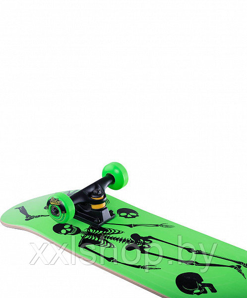 Скейтборд Ridex Bones 31.6 X8 green - фото 2 - id-p154489517