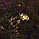 Фонарь садовый  "Цапля" светодиодный на солнечной батарее, металл., фото 4