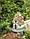 Фонарь садовый ЧУДЕСНЫЙ САД "Сказочный домик" св/диодный на солнечной батарее, полирезина, фото 4