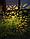 Фонарь садовый ЧУДЕСНЫЙ САД "Кружева" светодиодный проекционный на солнеч. батарее, металл, фото 2