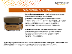 Granday Chaga Proactive Грандей Чага, фото 3