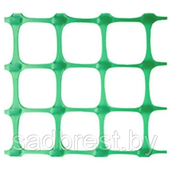 Решетка оградительная сетка садовая пластиковая яч 50х50 рулон 1х10 м - фото 2 - id-p154497209