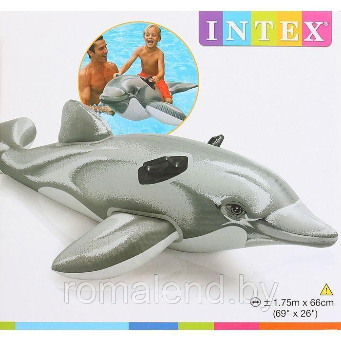 Надувной плотик "Дельфин" (175 х 66 см), 2 ручки, от 3 лет, INTEX 58535NP - фото 2 - id-p154505963