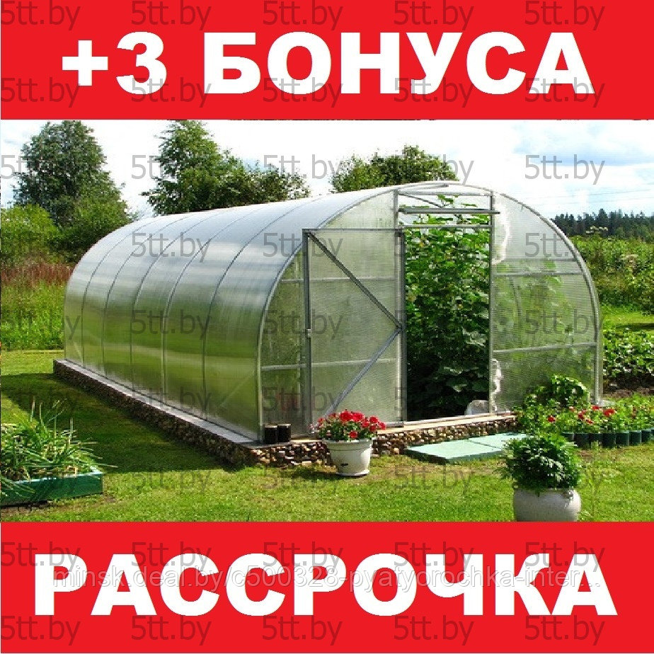 Теплица Сибирская из поликарбоната 20Ц-0.67 (10м.) + 3 бонуса