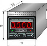 Регулятор углекислого газа (CO2) RCO2-D-1A-U01-1R-2K, фото 2