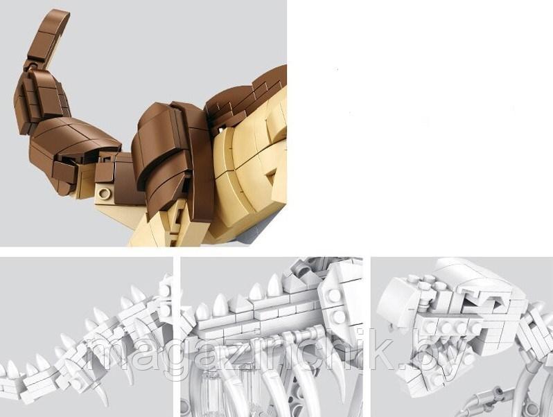 Конструктор Тираннозавр Рекс и макет скелета 2 в 1, Panlos 612002, аналог Лего Мир Юрского периода - фото 5 - id-p154951981
