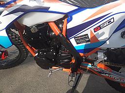 Эндуро мотоцикл c ПТС Roliz Sport 007 250cc 172FMM, фото 3