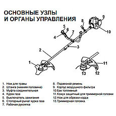Shtenli MS 1100 бензокоса (триммер, кусторез, мотокоса) мощность 1,1 кВт, фото 3