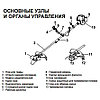 Shtenli MS 4500 бензокоса (триммер, кусторез, мотокоса) мощность 4,5 кВт, фото 3