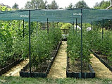 Сетка затеняющая зеленая 35г/м2 2 метра на 50 метров, фото 10