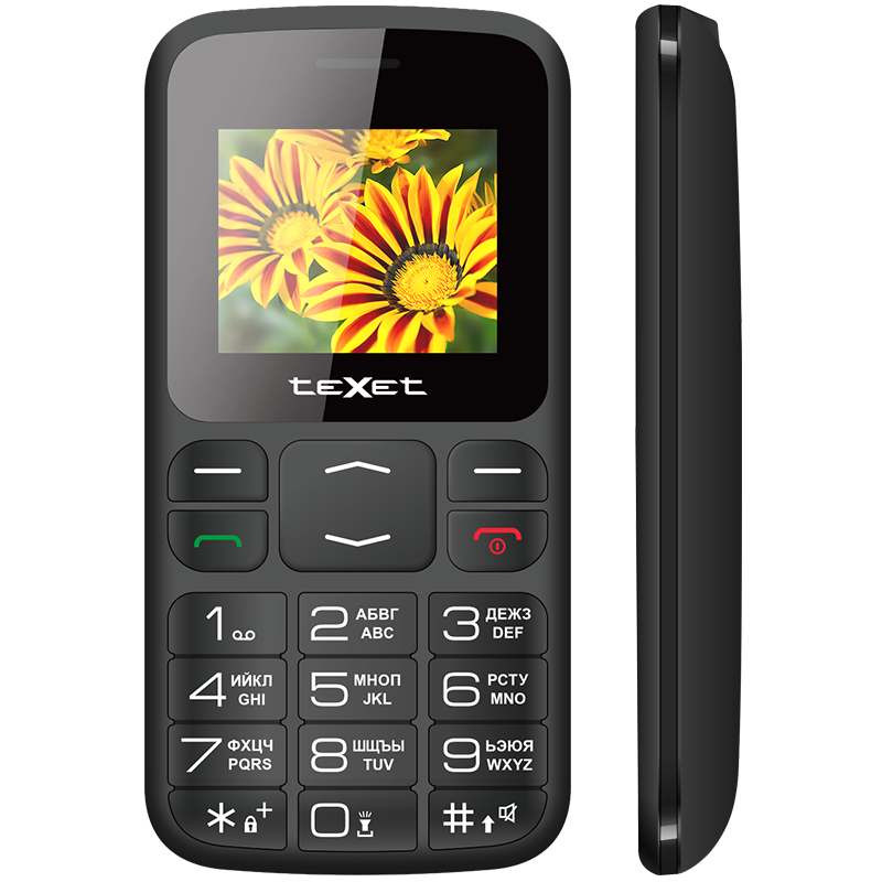 Мобильный телефон TeXet TM-B208 (черный)