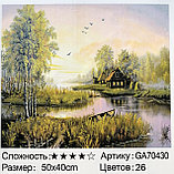 Алмазная картина размер 50*40 Природа, фото 7