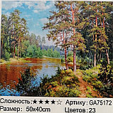 Алмазная картина размер 50*40 Природа, фото 5