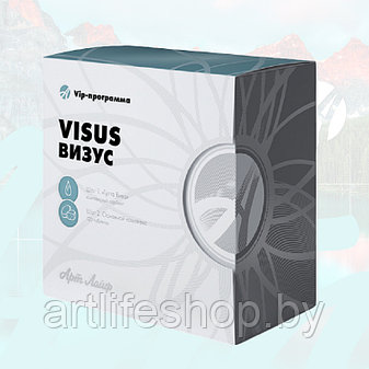VIP-программа Визус (Visus), 120 табл.  АртЛайф, фото 2
