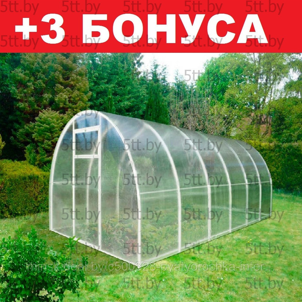 Теплица Сибирская из поликарбоната 20ФЦ-0.67 с двойной дугой (8 м.) + 3 бонуса