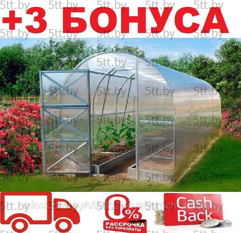 Теплица из поликарбоната 24 М-1 (2.4х10 м) + 3 бонуса
