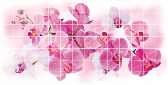 Панель ПВХ (пластиковая) листовая АртДекАрт Мозаика Орхидея розея 955х480х3.2 - фото 1 - id-p155306882