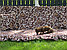 Матрас (мягкий элемент) для садовых качелей Вензеля 180*60 см, фото 5