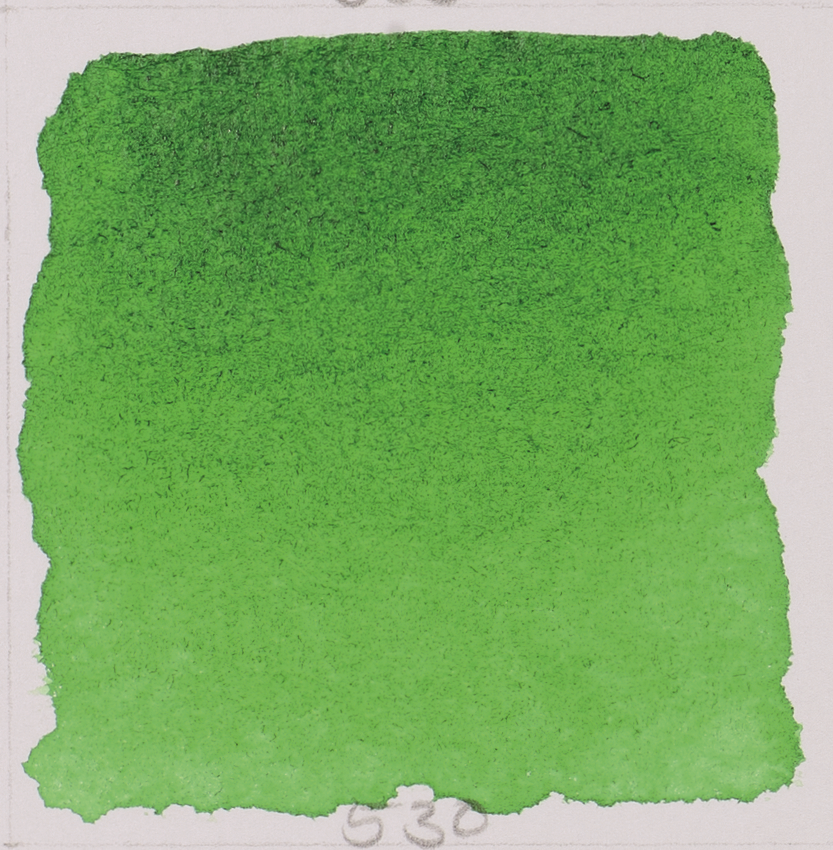 Акварель Schmincke Horadam, полукювета, зеленый сок, sap green, №530 - фото 2 - id-p155321095