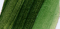 Краска масляная Schmincke Norma, туба 35 мл, зеленый земляной, green earth, №518