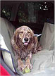 Коврик на сиденья в авто для собак SiPL XL, фото 2