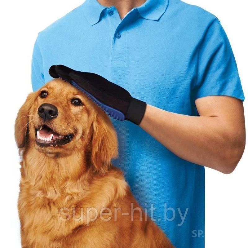 Массажная перчатка - щетка для вычесывания животных True Touch - фото 4 - id-p93060913