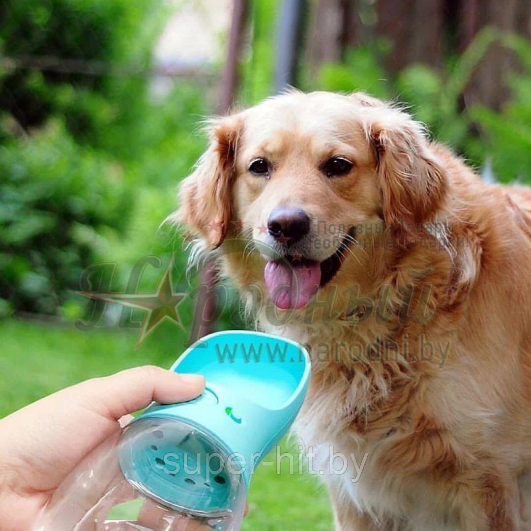 Непроливаемая бутылка поилка для собак Pet Care Cup - фото 8 - id-p93060914