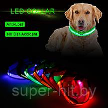 Фонарь-ошейник светодиодный для домашних животных  на батарейках модель LED DGC (р.М), фото 3