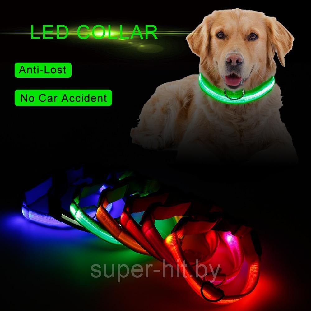 Фонарь-ошейник светодиодный для домашних животных на батарейках модель LED DGC (р.М) - фото 5 - id-p93060915