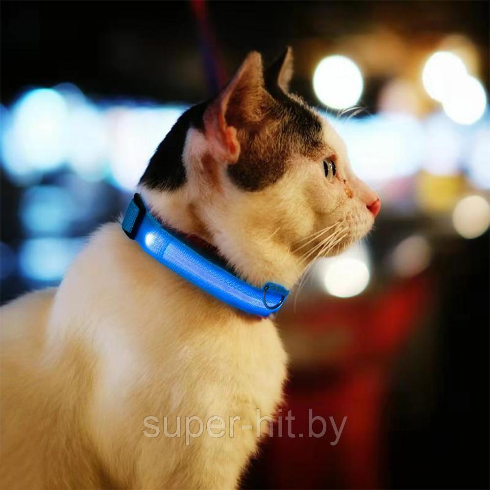 Фонарь-ошейник светодиодный для домашних животных на батарейках модель LED DGC (р.М) - фото 7 - id-p93060915