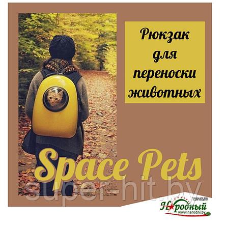 Рюкзак для животных Space Pets, фото 2