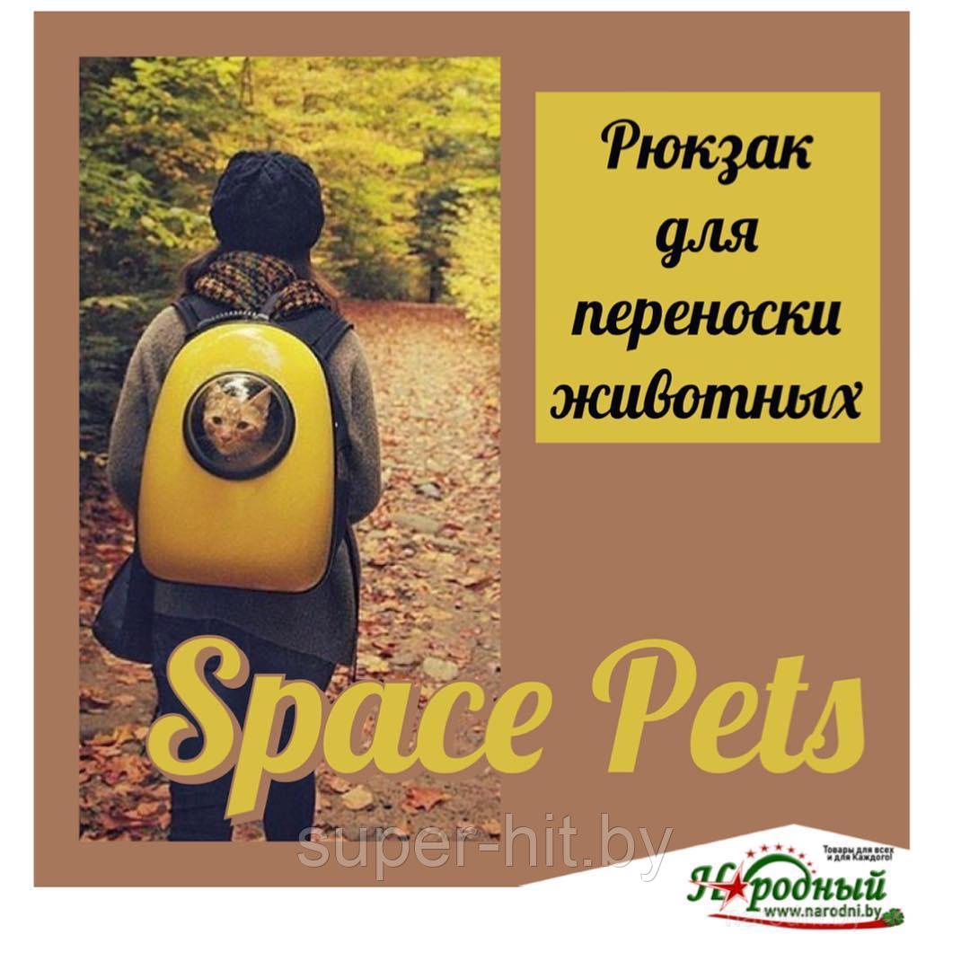 Рюкзак для животных Space Pets - фото 1 - id-p93060928