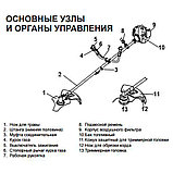 Shtenli MS 3500 бензокоса (триммер, кусторез, мотокоса) мощность 3,5 кВт, фото 4