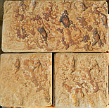 Кислотный краситель по бетону Ламитон №72 коричневый, фото 7