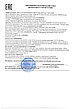 Сок Чаги  с боярышником и соком березового листа клеточный, 450 мл., фото 2