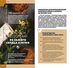 Сок Чаги клеточный с пихтой и зверобоем, 450 мл, фото 3