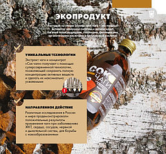 Сок Чаги клеточный с боярышником и соком березового листа, 450 мл., фото 3