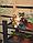 Фигура садовая ЧУДЕСНЫЙ САД "Котенок с фонарем" h18см, полирезина, фото 6