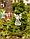 Фонарь садовый ЧУДЕСНЫЙ САД  "Ангел" св/диодный на солнечной батарее, фото 3