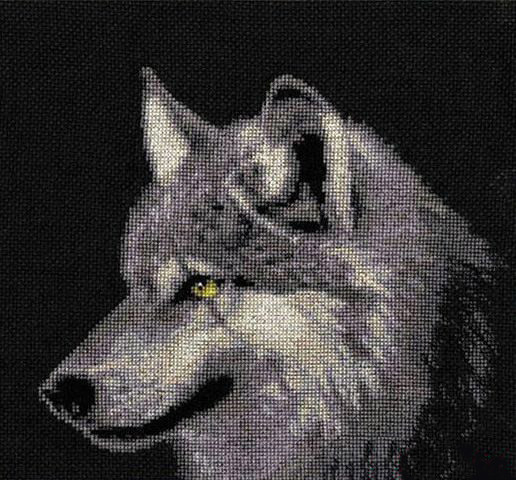 ДЖ-015 "Серый волк"*** - фото 2 - id-p156429693