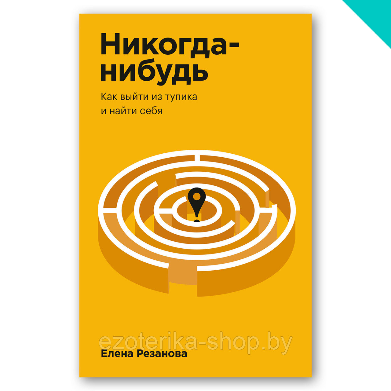 Никогда нибудь читать. Никогда нибудь книга. «Никогда-нибудь. Как выйти из тупика и найти себя», Елена Резанова. Никогда нибудь блокнот. Миф личное развитие никогда нибудь покетбук Резанова Манн.