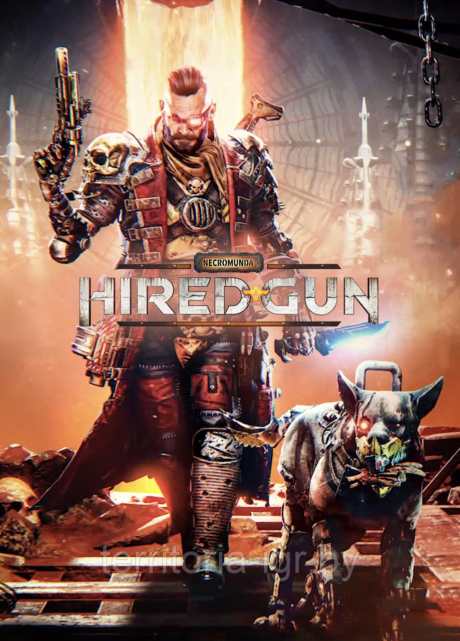 Necromunda: Hired Gun DVD-2 (Копия лицензии) PC