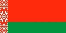 Флаг Республики Беларусь кабинетный