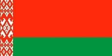 Флаг Республики Беларусь кабинетный - фото 1 - id-p156467500