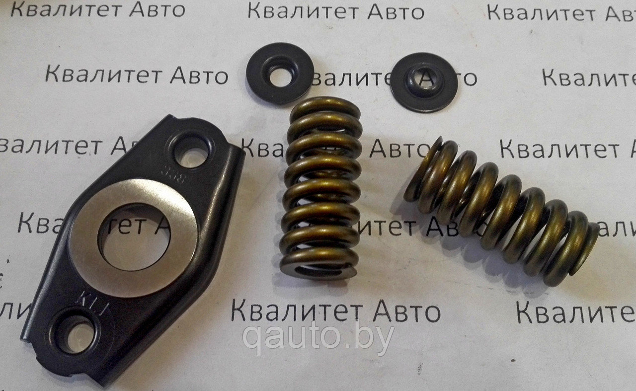 Комплект пружин для плунжерной пары BOSCH BMW,LAND ROVER, OPEL 1467010494 - фото 1 - id-p156474650